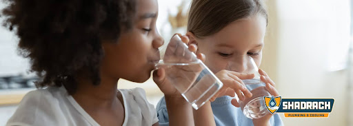 whole house water filtration system