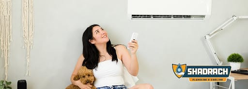 ductless mini-split systems